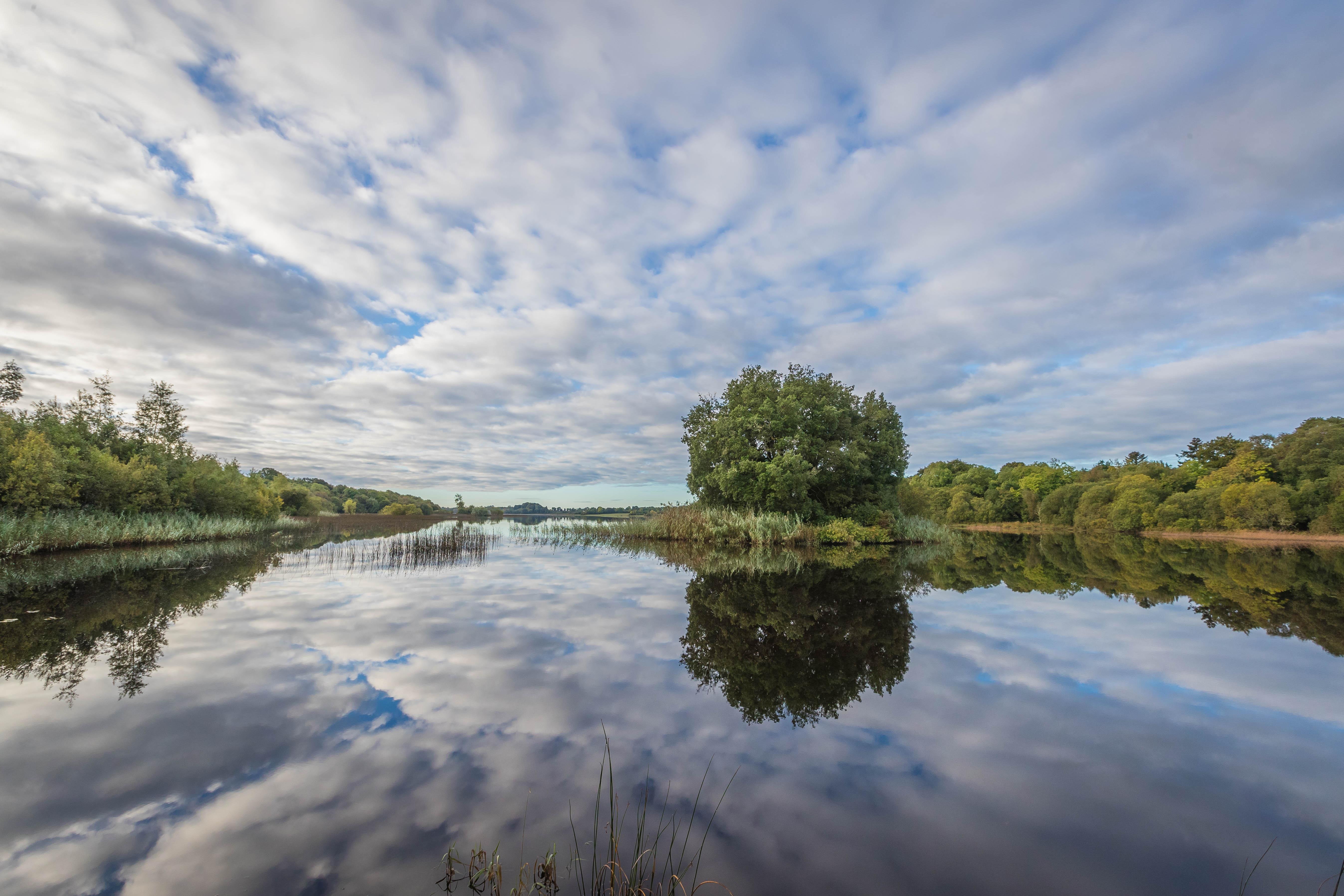 Lough Rynn Castle Hotel Mohill Bagian luar foto